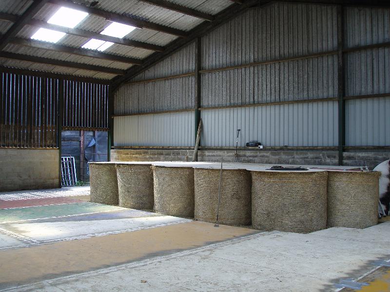 Stage 2.jpg